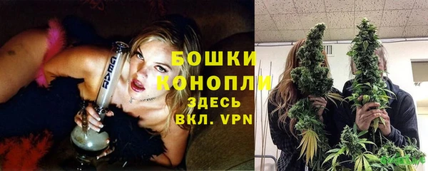 ECSTASY Майский