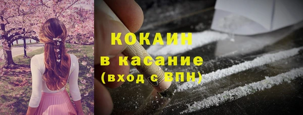 гашик Магас