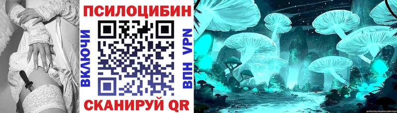продажа наркотиков  Тихорецк  Псилоцибиновые грибы мухоморы 