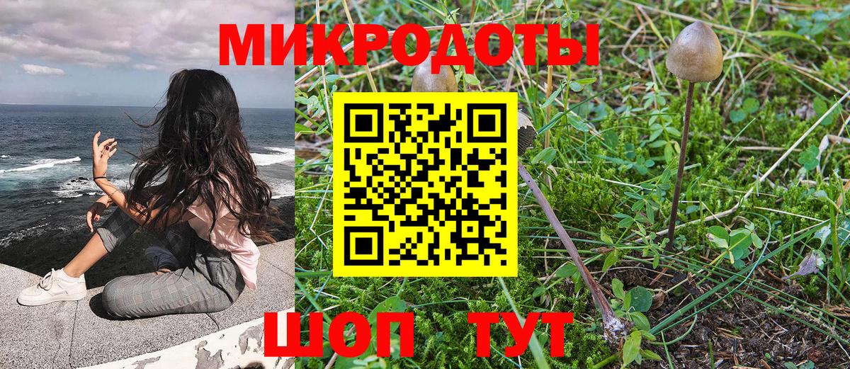 Галлюциногенные грибы Magic Shrooms Тихорецк