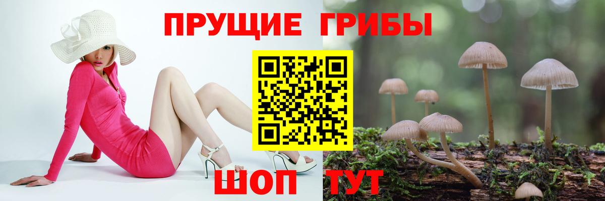 Галлюциногенные грибы ЛСД  Вход с VPN  Тихорецк  Псилоцибиновые грибы мухоморы 